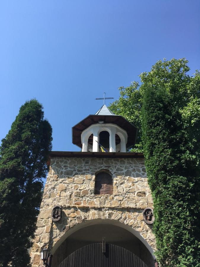 Pensiunea Elena Soveja Exterior photo